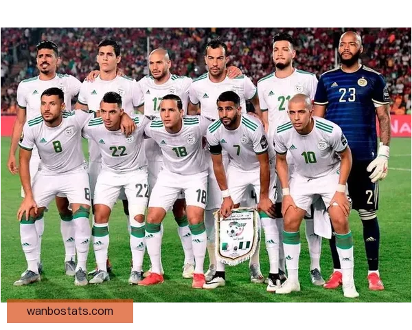 世界杯精彩竞猜赛事直播全程解析与独家比分预测指南